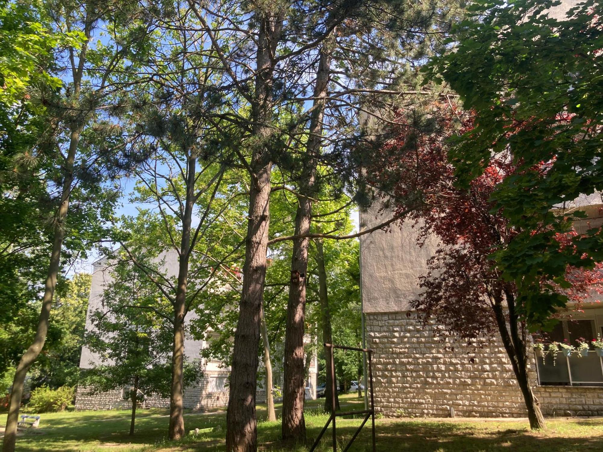 Oazis Apartman 维斯普雷姆 外观 照片