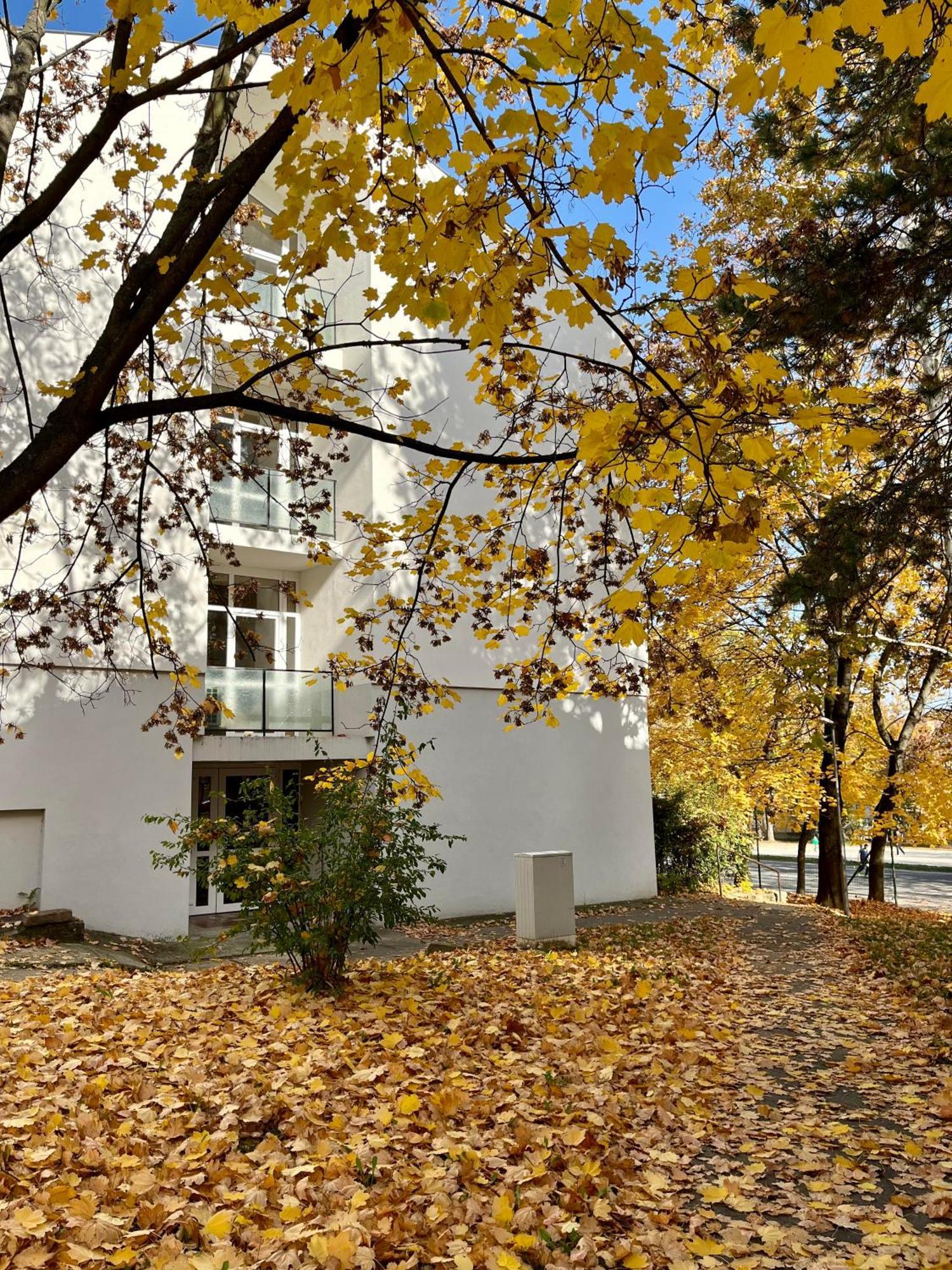 Oazis Apartman 维斯普雷姆 外观 照片